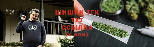 хмурый Верхний Тагил
