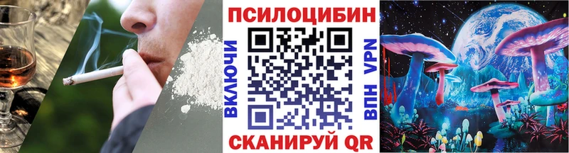Псилоцибиновые грибы GOLDEN TEACHER  Купить закладки  Верхняя Пышма 